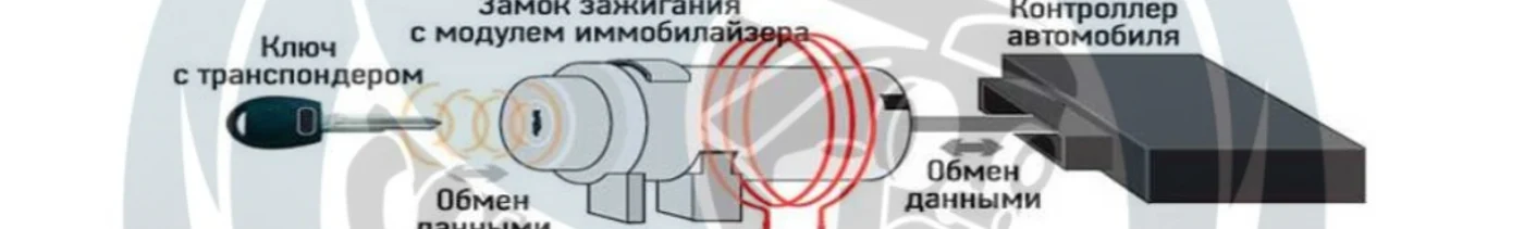 836192ec-4856-4035-aea6-4d770fd4a8fd-иммо схема 1.jpg